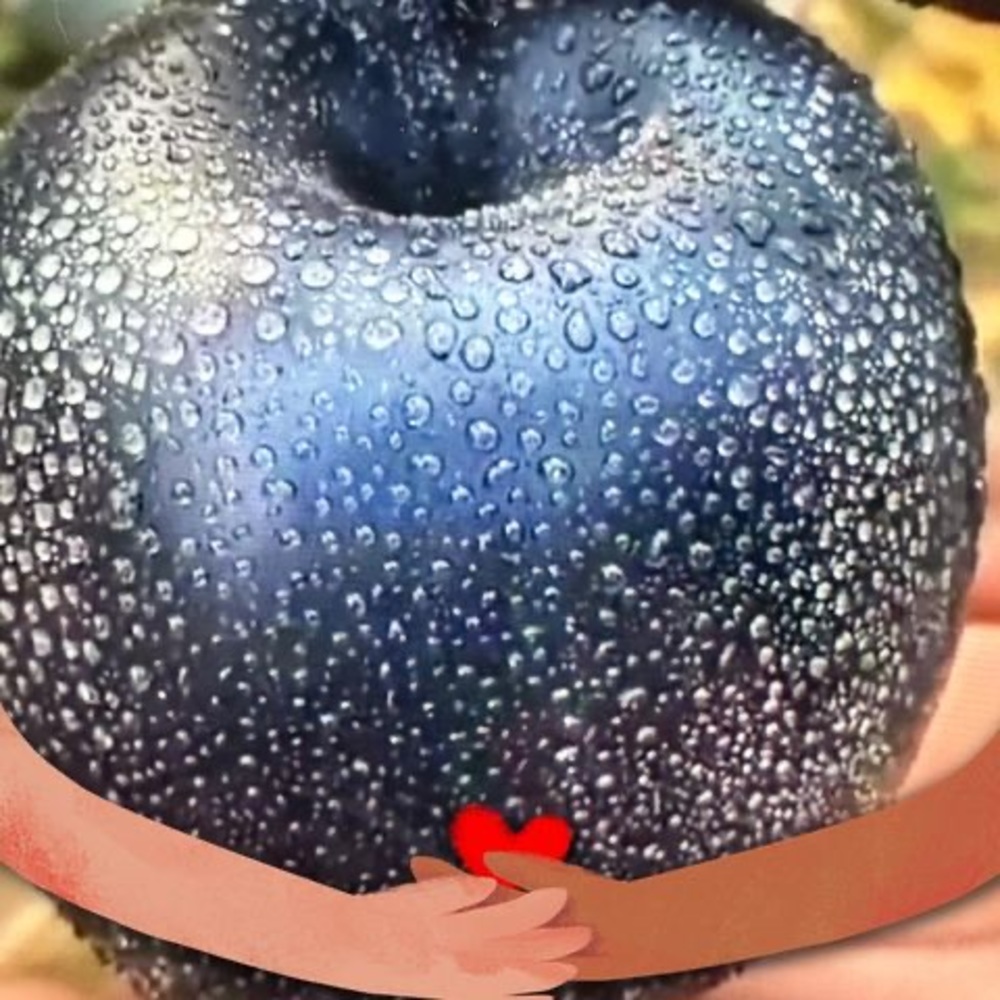Meet your Posher, Apple